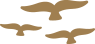 Birdsong graphic